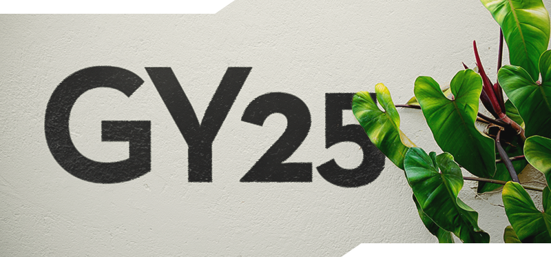 GY25